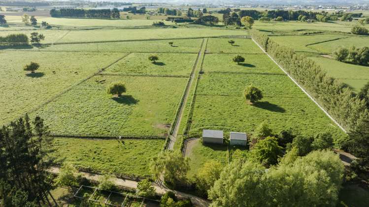 311 Kairanga Bunnythorpe Road Bunnythorpe_22