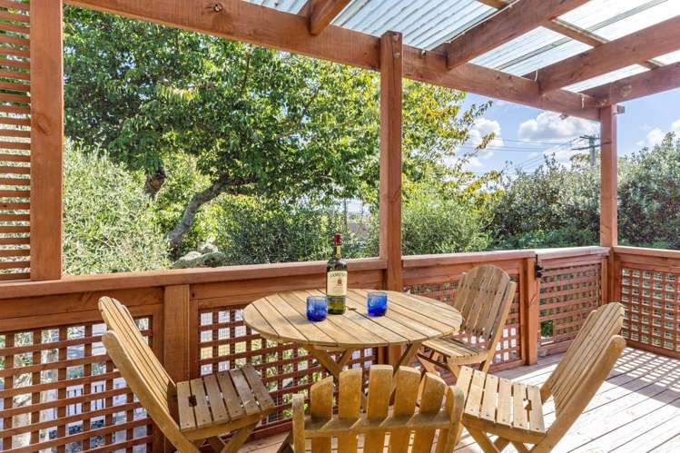 55 Seaview Terrace Mount Albert_7