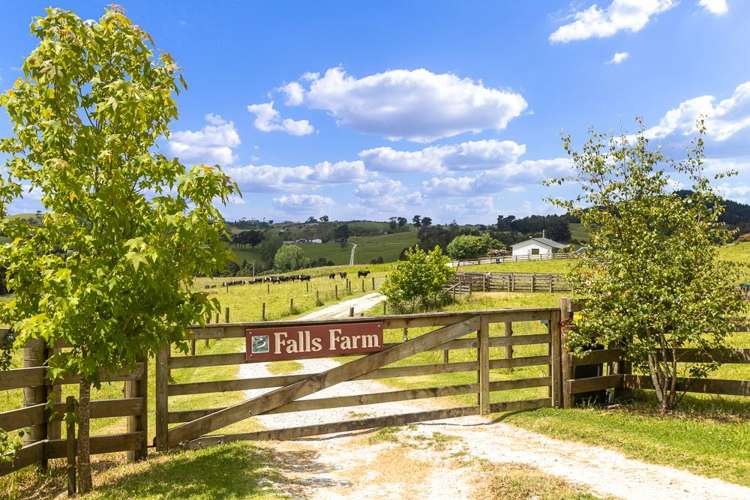 237 J V Grant Road Wellsford_1