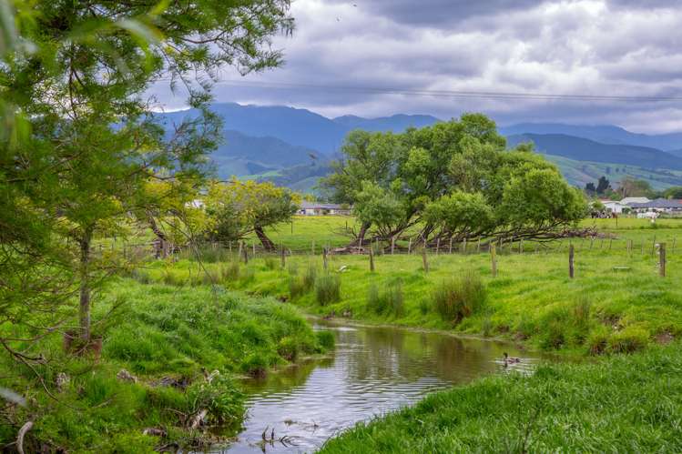 181 Park Road Carterton_16