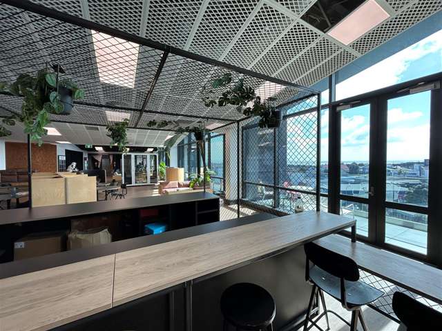 4 Williamson Avenue Ponsonby_4