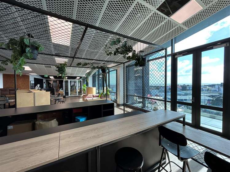 4 Williamson Avenue Ponsonby_4