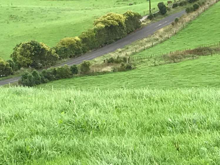 363 Martin Road Waerenga_6