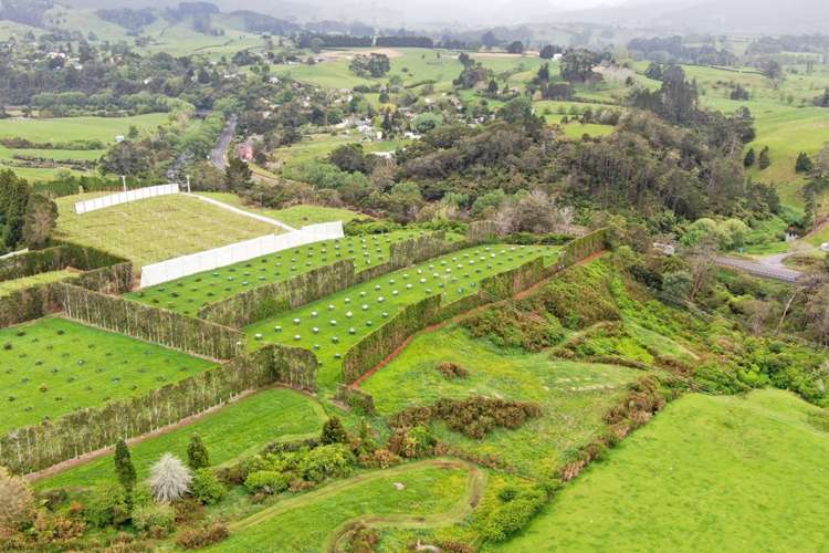 211 Pukekauri Road Waikino_19