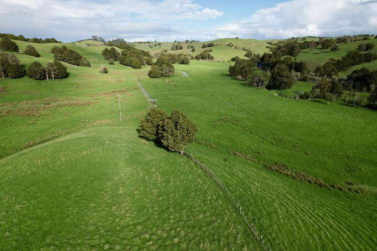 Corner of Paradise Road and State Highway 14 Tangiteroria_4