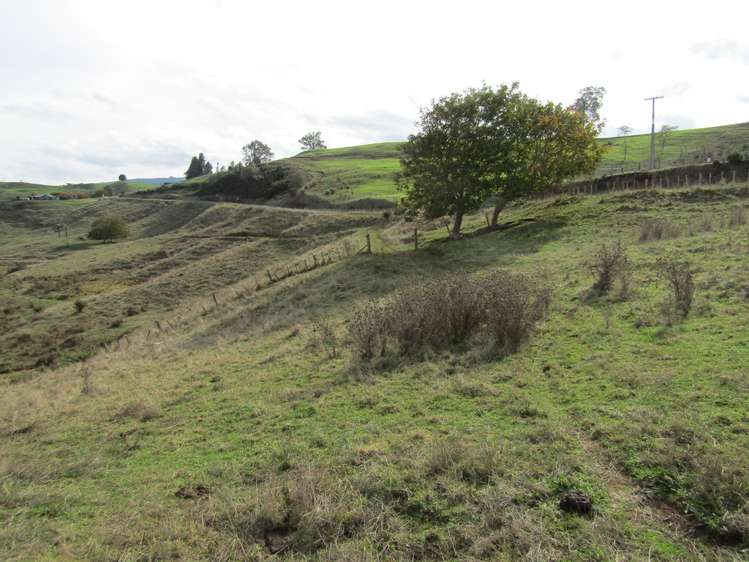 Te Tahi Road Pirongia_12