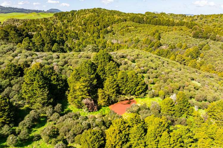 Baker Road Maungatapere_10