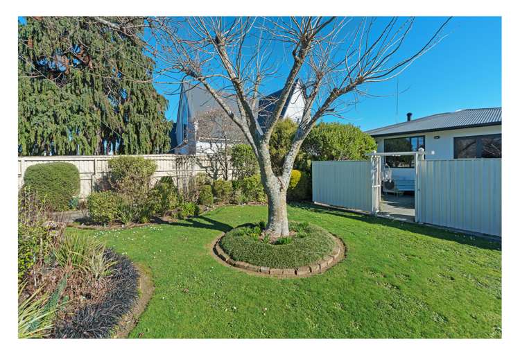 62 High Street Motueka_17