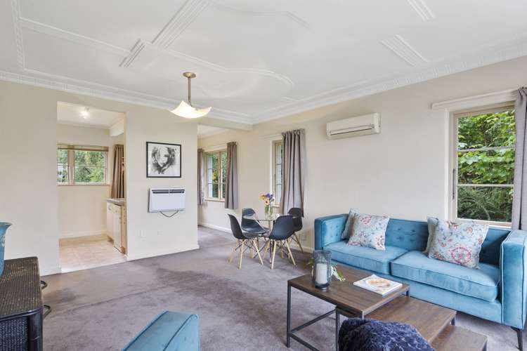 4c Alva Street Dunedin Central_11