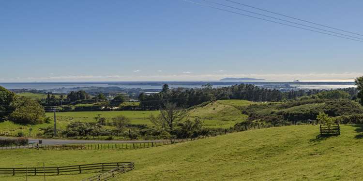 87 Ross Road Whakamarama_5