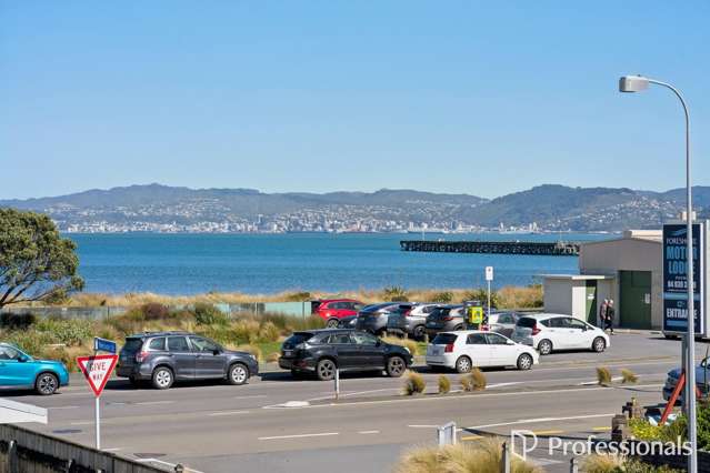 ESPLANADE VIEWS & AIRBNB INCOME