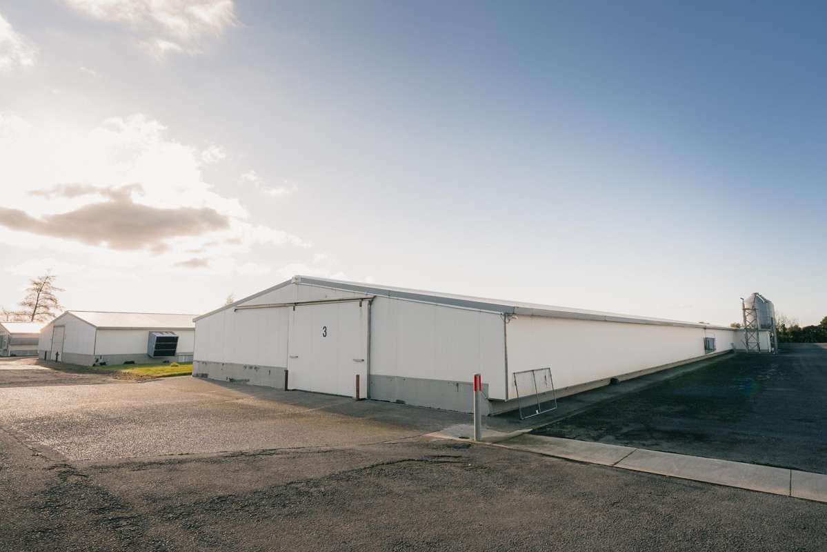 57-85 Thomason Road_2