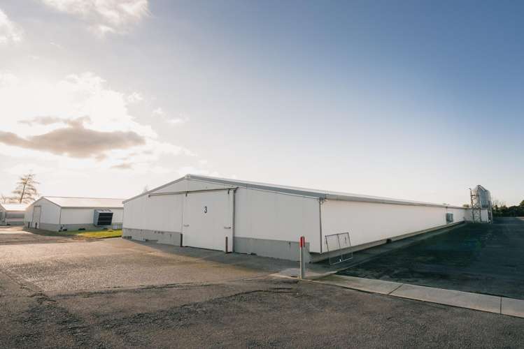 57-85 Thomason Road Egmont Village_6