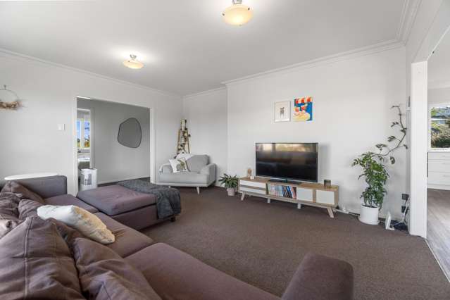184 Tuhikaramea Road Dinsdale_3