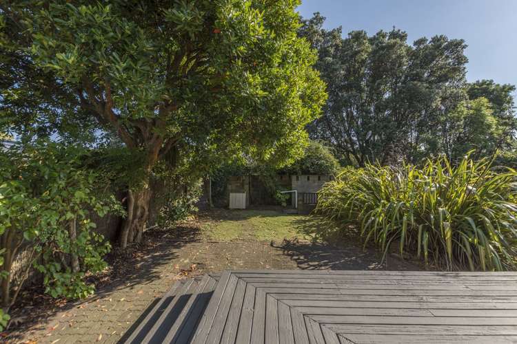 172 Waihi Road Judea_11