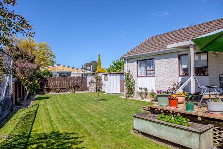 5d Millard Avenue Masterton_6