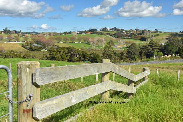 113 Te Rawhiti Road Matakohe_3