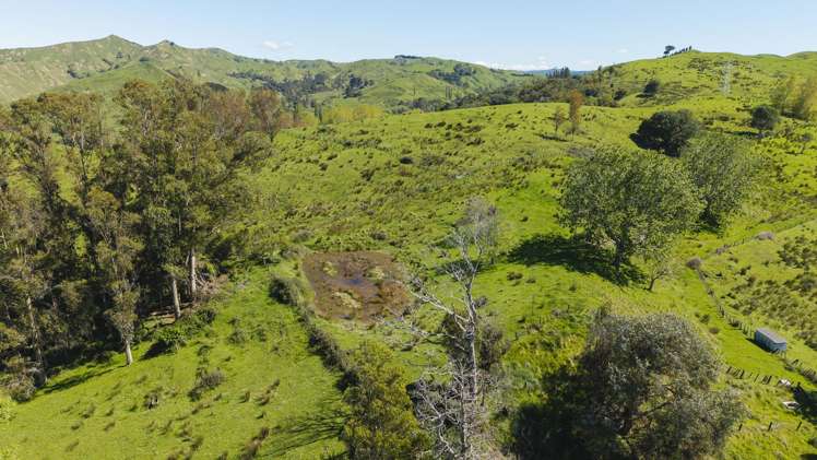 150 Waiomoko Road Whangara_14