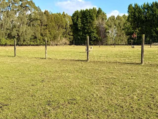 173 Drysdale Road Myross Bush_3