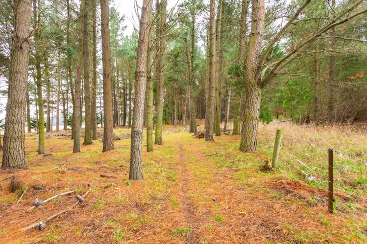 800 Old West Coast Road West Melton_9