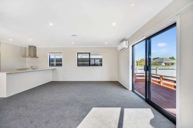 821 Tamatea Street Mahora_4