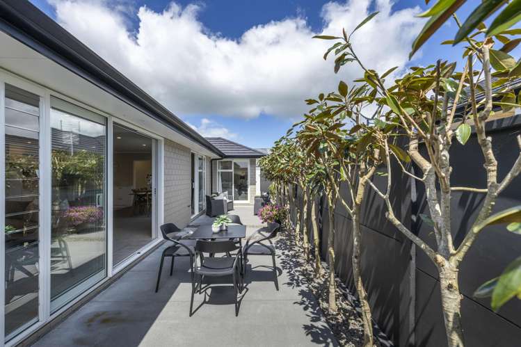 175A Carrington Street Lower Vogeltown_3