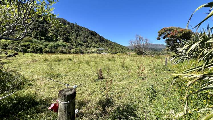 37 Nikau Road, State Highway 67 Hector_10