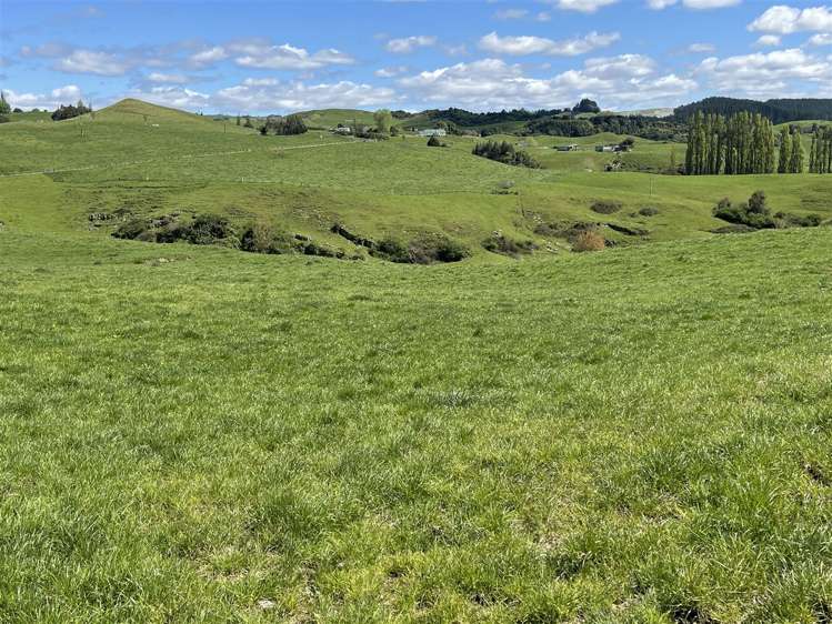 788 Troopers Road Te Kuiti_18