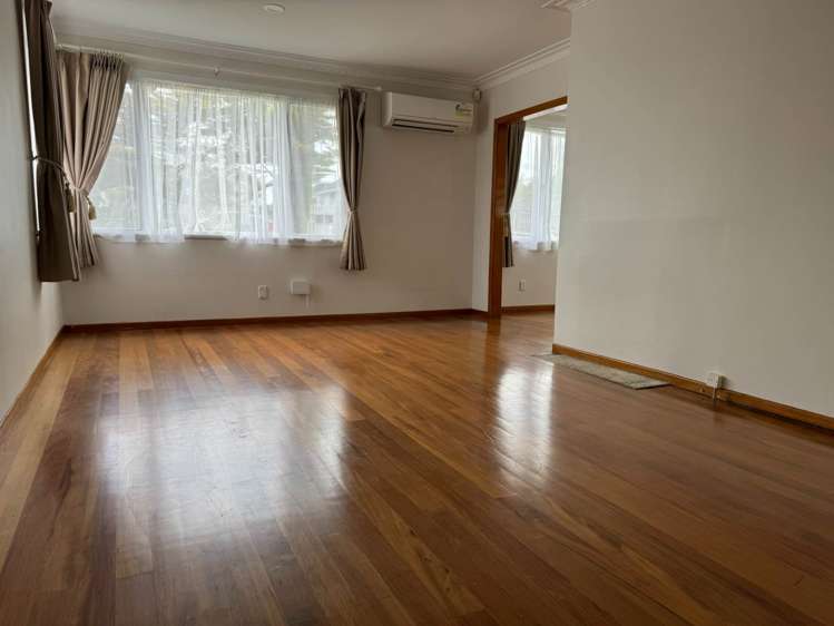 94 Webster Avenue Mt Roskill_5