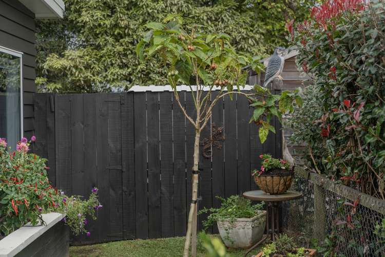 56 Hahei Beach Road Hahei_26