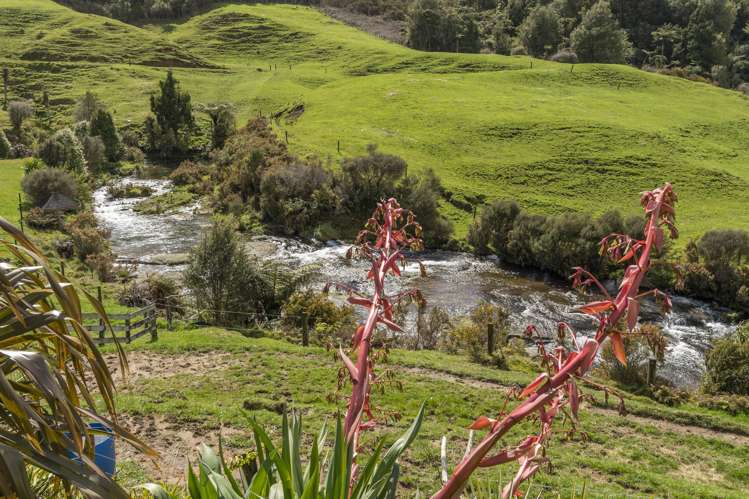 698f Whakamarama Road Whakamarama_20