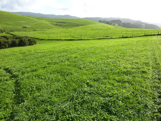 Address withheld Matakana_3