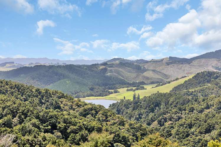 697 Mt Tiger Road Whareora_28