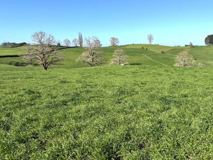 233B Kio Kio Station Road Otorohanga_15