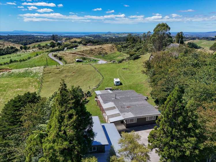 912 Whakamarama Road Whakamarama_13