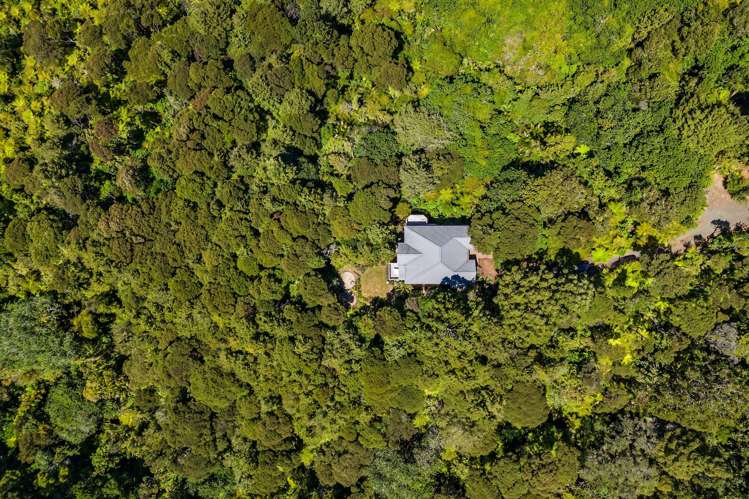 4 Kereru Grove Greenhithe_4