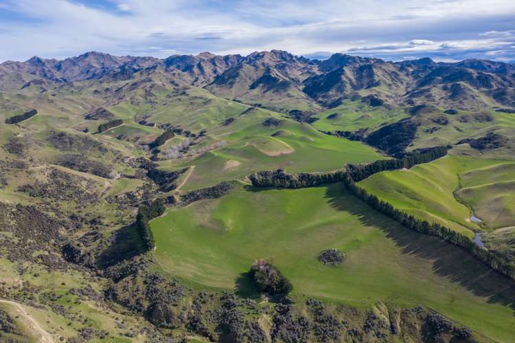 387 Eggleston Road Cheviot_23