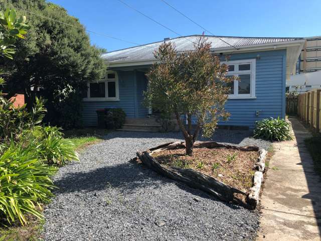 19 Wainoni Avenue Point Chevalier_1