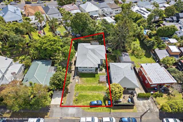 8 Allen Road Grey Lynn_4