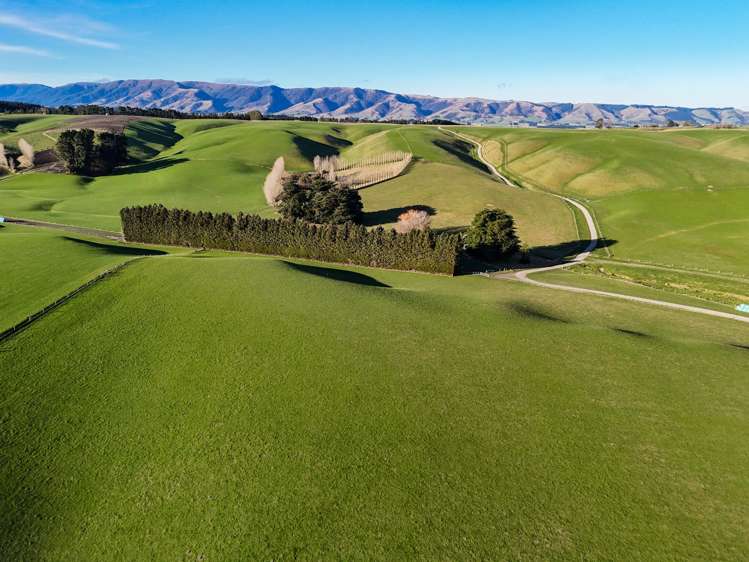 348 Koi Road Waikoikoi_27