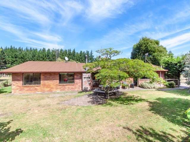 271 Rangiotu Road Himatangi_2