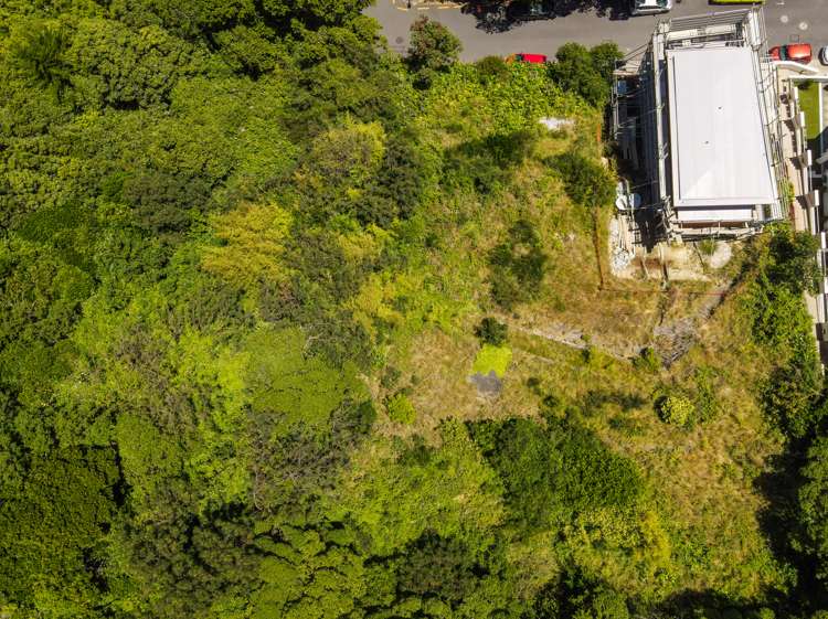 16 Telford Terrace Oriental Bay_9