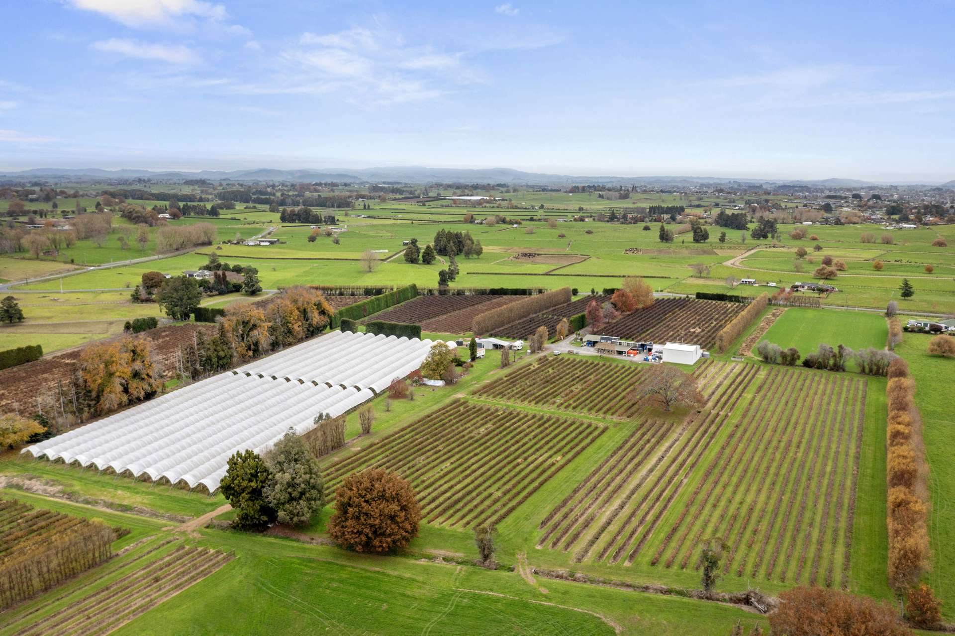 1972 Te Rahu Road Te Awamutu_0