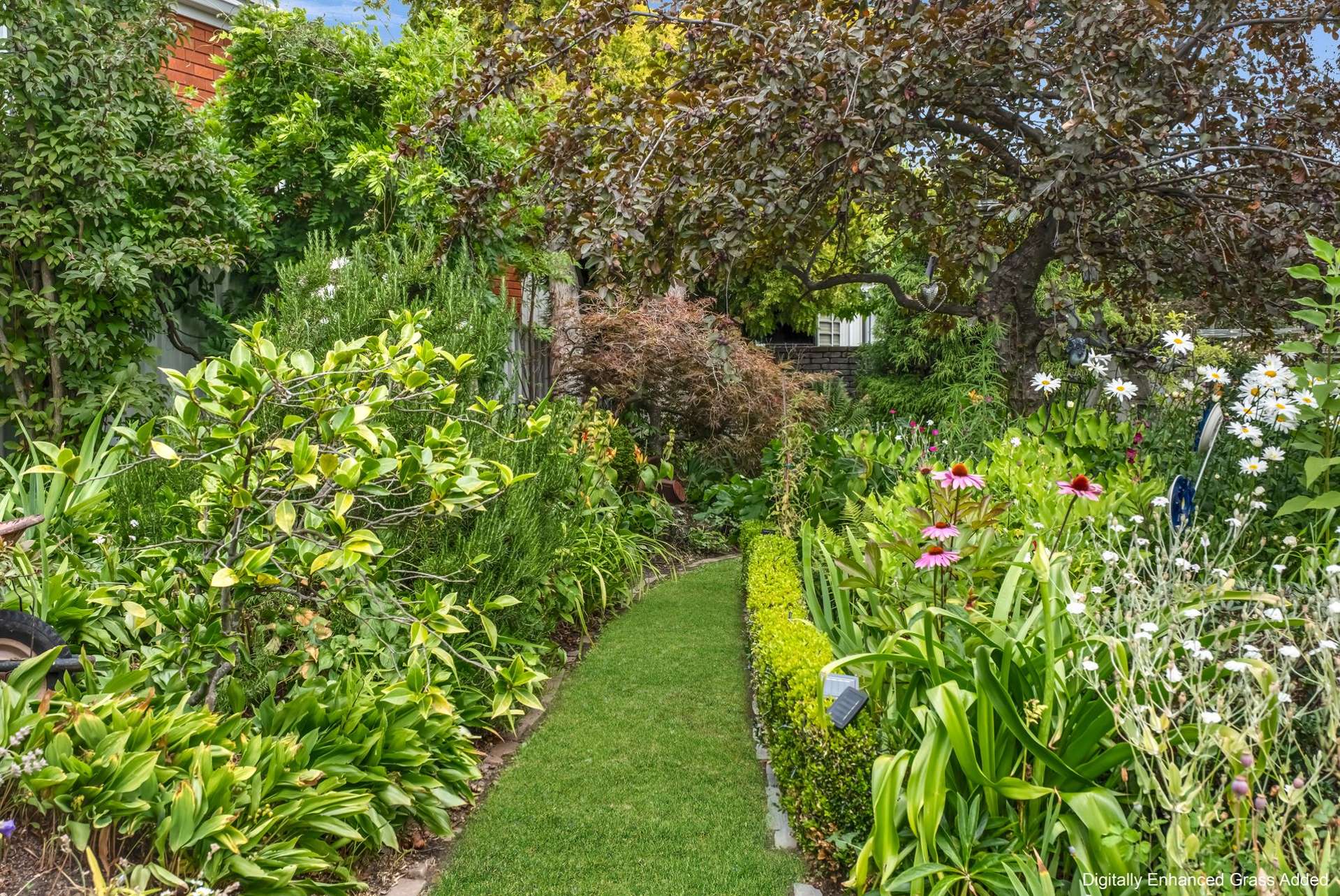 57 Brandon Street Alexandra_0