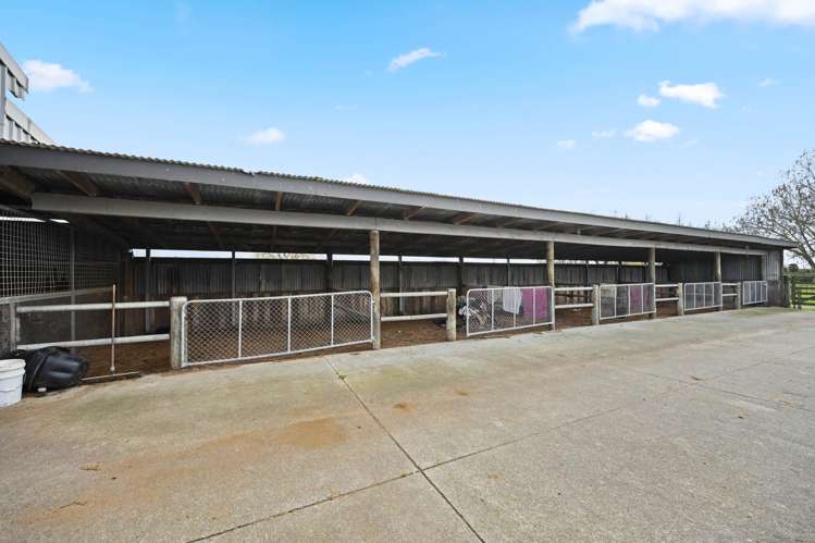 59 Racecourse Road Cambridge_40