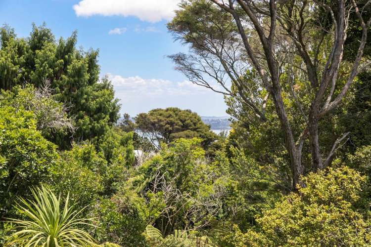 1/23a Balmain Road Birkenhead_6