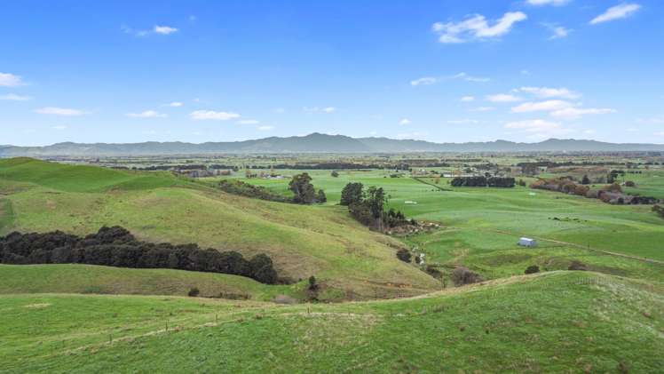 364 Quine Road Tahuna_10