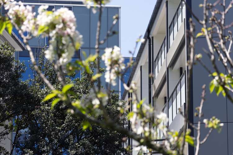 5/8 Dock Street Auckland Central_16