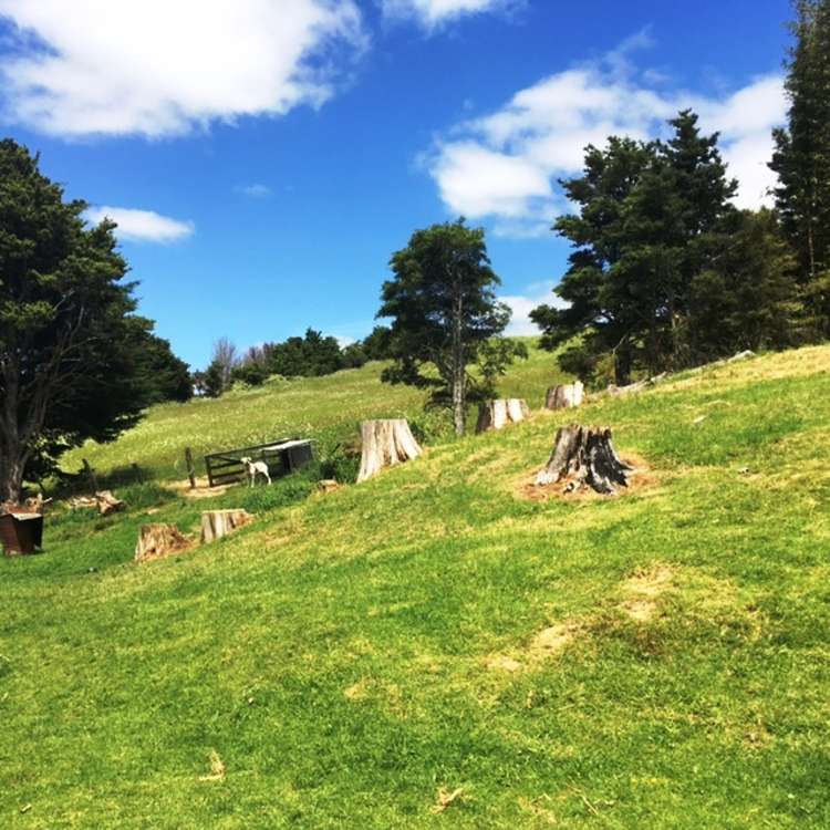 6224 State Highway 1 Moerewa_18