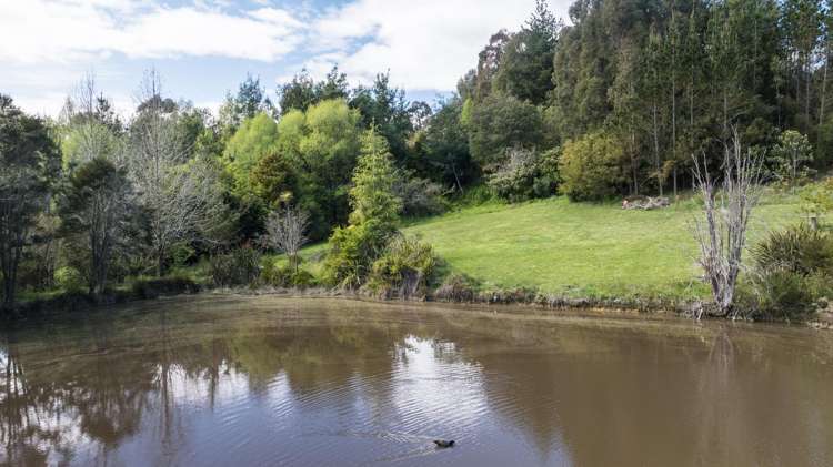 7 Little Sydney Road Brooklyn_20